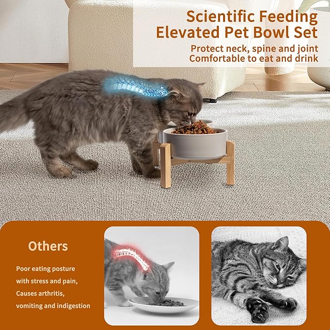 Elevated Ceramic Dog Bowl Set - Raised Feeding Bowls with Non-Slip Bamboo Stand - Small Pet Dishes for Food and Water - Ideal for Cats and Puppies - 16.23 OZ - 2 Cups - 480 ML-PurrikoPets