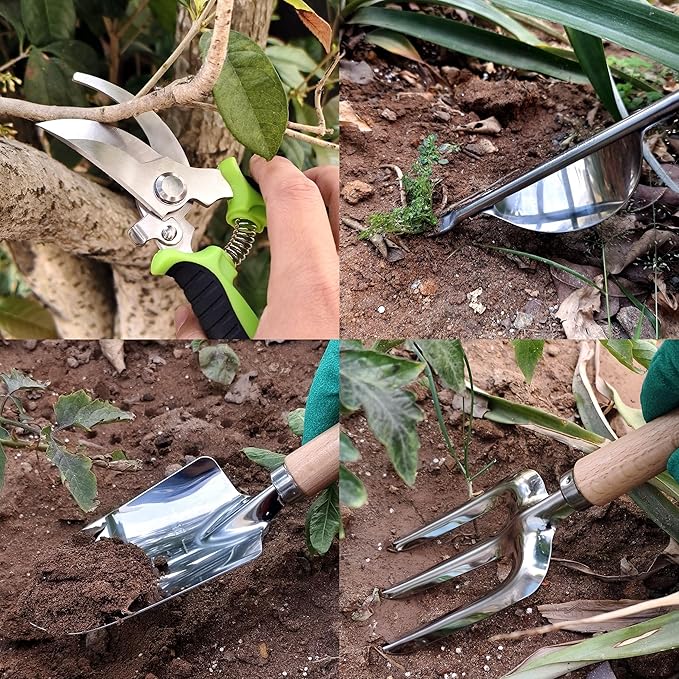 41-Piece Premium Gardening Tool Set, Stainless Steel Heavy Duty Gardening Tool Kit, with Non-Slip Rubber Grip, Storage Tote Bag, Outdoor Hand Tools, Ideal Gardening Gifts for All (Green)-PurrikoPets