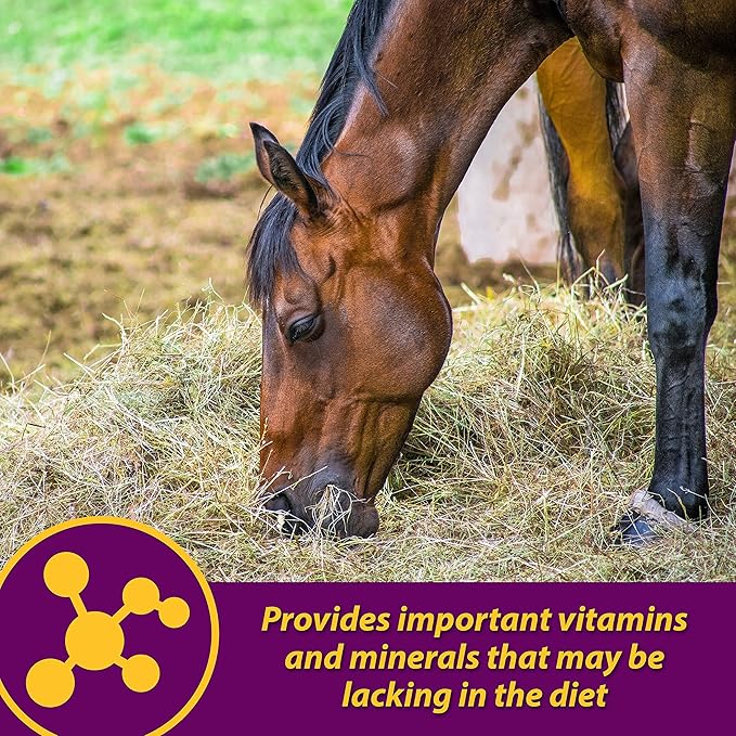 Farnam Horse Health Red Cell Pellets, Vitamin-Iron-Mineral Supplement for Horses, Helps Fill Important Nutritional Gaps in Horse's Diet, 4 lbs., 64-Day Supply-PurrikoPets