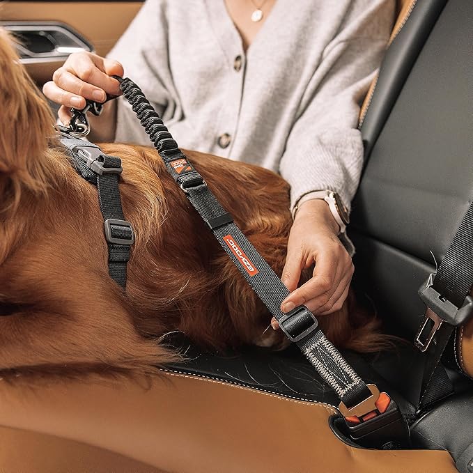 EzyDog Zero Shock Click - Shock Absorbing Dog Seat Belt Car Harness Attachment for Dogs - Adjustable Dog Restraints Seatbelts for Car Travel and Safety - (20in - 26in, Black)-PurrikoPets