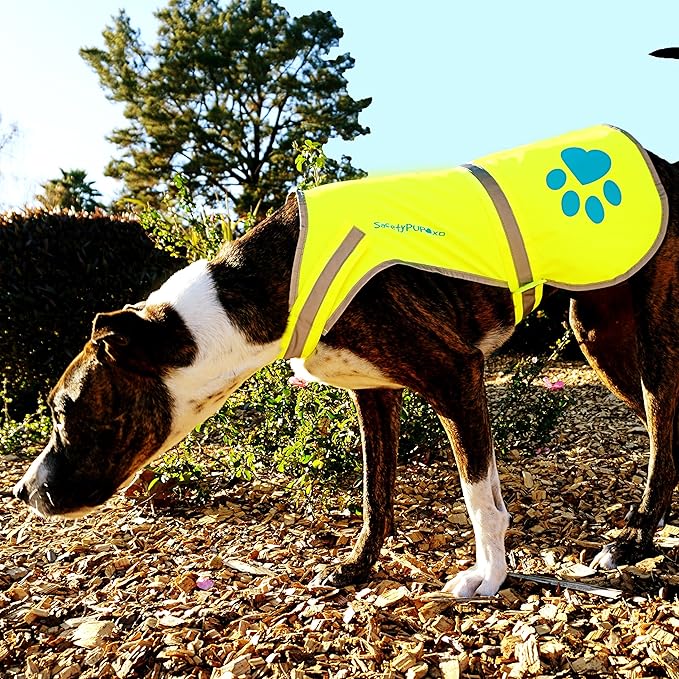 Dog Reflective Vest – Hi-Vis Fluorescent Visibility That Helps to Safeguard Your Pet On/Off Leash in Urban & Rural Areas (Yellow, Medium)-PurrikoPets