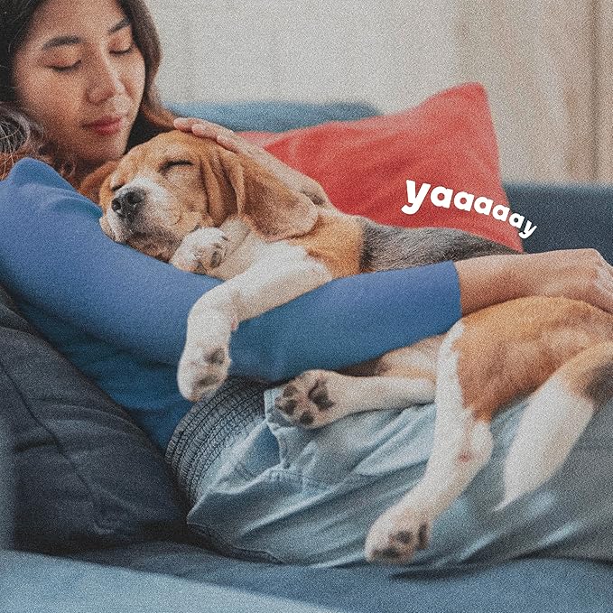 Adams Flea & Tick Collar Plus for Dogs & Puppies |2 Pack |12-Month Protection |One Size Fits All Dogs & Puppies 12 Weeks and Older |Kills Fleas and Ticks |Repels Mosquitoes (excluding California)-PurrikoPets