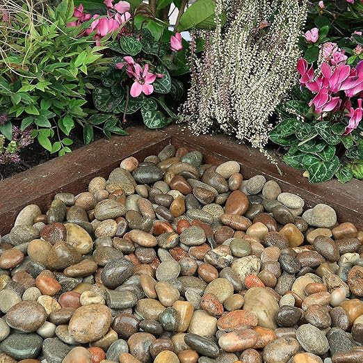 40lbs Large River Rocks for Landscaping, 2-3 Inch Natural Unpolished Bulk Pebbles, Hand-Picked Premium Stones for Garden Design Fish Tank, Flower Pots, Pathways and Backyard, Mixed Color-PurrikoPets