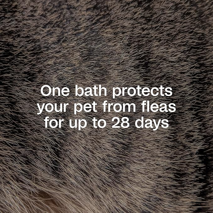 Adams Plus Flea & Tick Shampoo with Precor for Cats, Kittens, Dogs & Puppies Over 12 Weeks Of Age Sensitive Skin Flea Treatment | Kills Adult Fleas, Flea Eggs, Ticks, and Lice| 12 Ounces-PurrikoPets